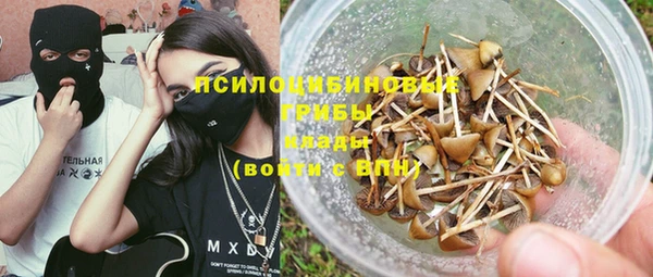 гидра Медвежьегорск